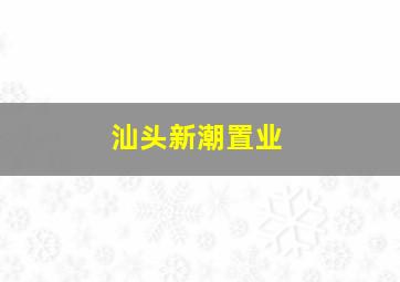 汕头新潮置业