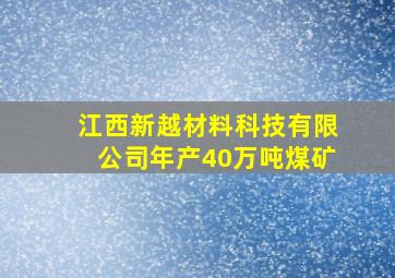 江西新越材料科技有限公司年产40万吨煤矿