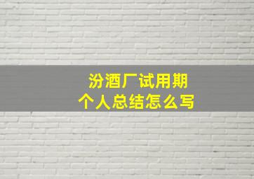 汾酒厂试用期个人总结怎么写