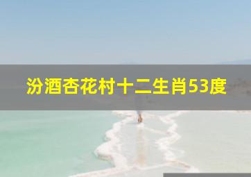 汾酒杏花村十二生肖53度