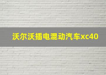 沃尔沃插电混动汽车xc40