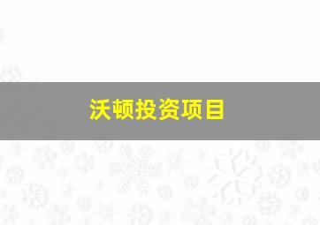 沃顿投资项目