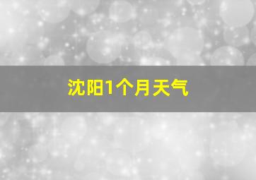 沈阳1个月天气