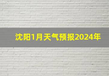 沈阳1月天气预报2024年