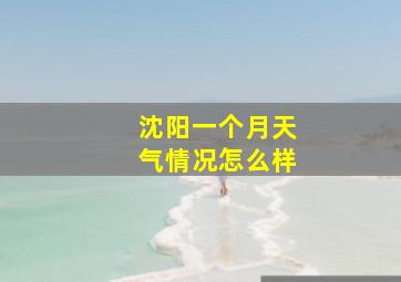 沈阳一个月天气情况怎么样