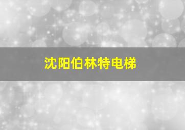 沈阳伯林特电梯