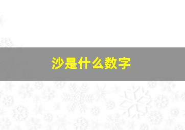 沙是什么数字