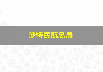 沙特民航总局