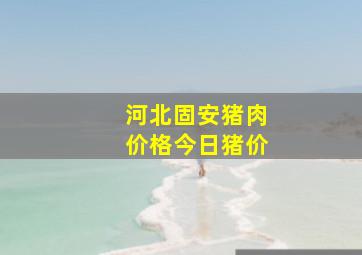 河北固安猪肉价格今日猪价