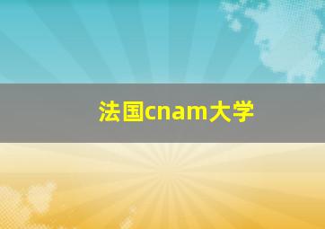 法国cnam大学