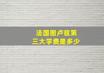 法国图卢兹第三大学费是多少