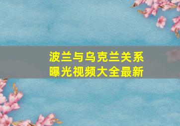 波兰与乌克兰关系曝光视频大全最新