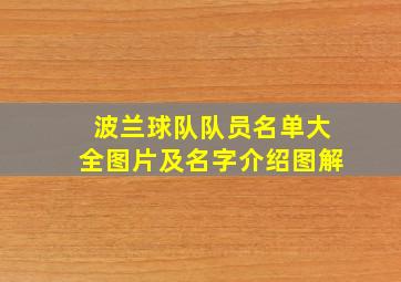 波兰球队队员名单大全图片及名字介绍图解