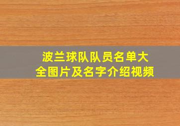 波兰球队队员名单大全图片及名字介绍视频