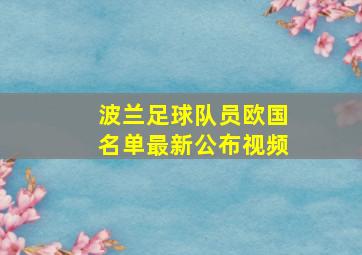 波兰足球队员欧国名单最新公布视频