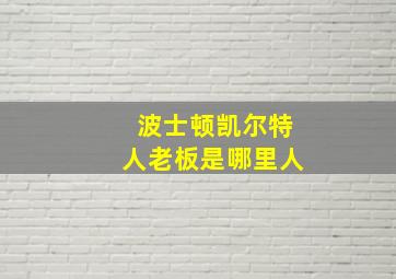 波士顿凯尔特人老板是哪里人