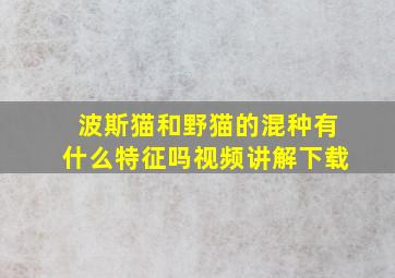 波斯猫和野猫的混种有什么特征吗视频讲解下载