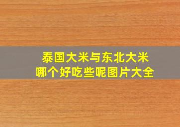 泰国大米与东北大米哪个好吃些呢图片大全