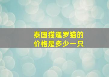 泰国猫暹罗猫的价格是多少一只