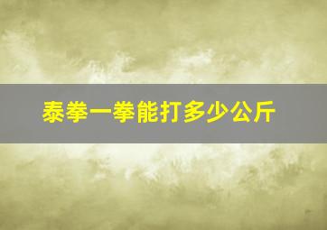 泰拳一拳能打多少公斤