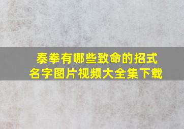 泰拳有哪些致命的招式名字图片视频大全集下载