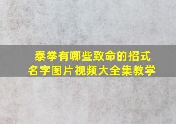 泰拳有哪些致命的招式名字图片视频大全集教学