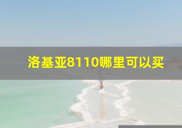 洛基亚8110哪里可以买