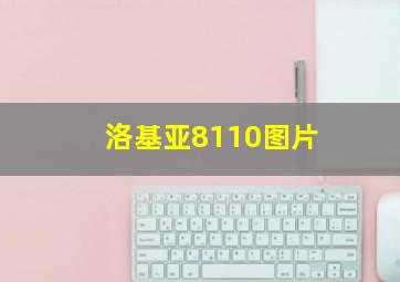 洛基亚8110图片