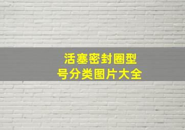 活塞密封圈型号分类图片大全