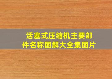 活塞式压缩机主要部件名称图解大全集图片