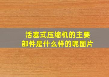 活塞式压缩机的主要部件是什么样的呢图片