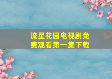 流星花园电视剧免费观看第一集下载