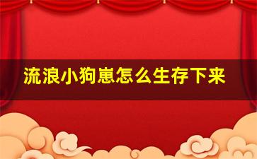 流浪小狗崽怎么生存下来