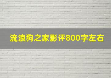 流浪狗之家影评800字左右