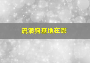 流浪狗基地在哪