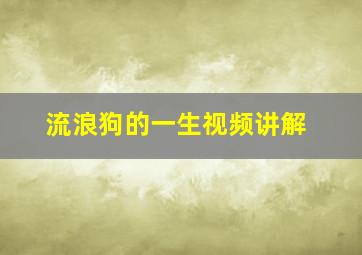 流浪狗的一生视频讲解