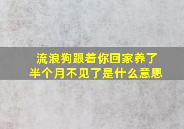 流浪狗跟着你回家养了半个月不见了是什么意思