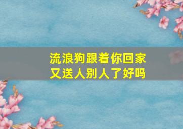 流浪狗跟着你回家又送人别人了好吗