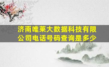 济南唯莱大数据科技有限公司电话号码查询是多少