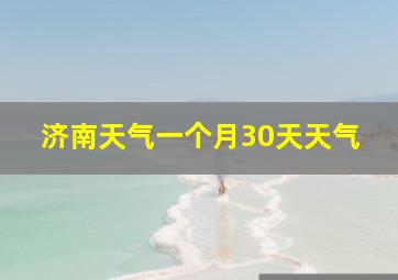 济南天气一个月30天天气