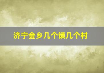 济宁金乡几个镇几个村