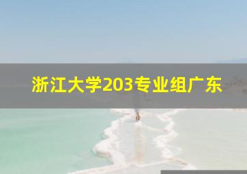 浙江大学203专业组广东