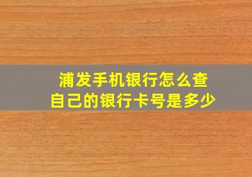 浦发手机银行怎么查自己的银行卡号是多少