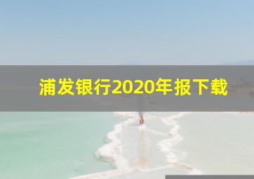 浦发银行2020年报下载