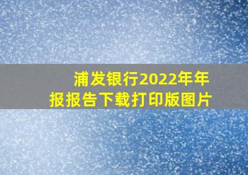 浦发银行2022年年报报告下载打印版图片