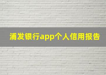 浦发银行app个人信用报告