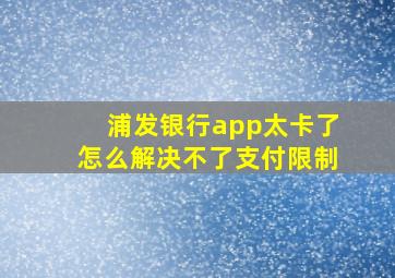 浦发银行app太卡了怎么解决不了支付限制