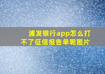 浦发银行app怎么打不了征信报告单呢图片