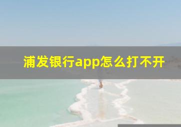 浦发银行app怎么打不开