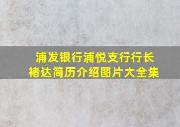 浦发银行浦悦支行行长褚达简历介绍图片大全集